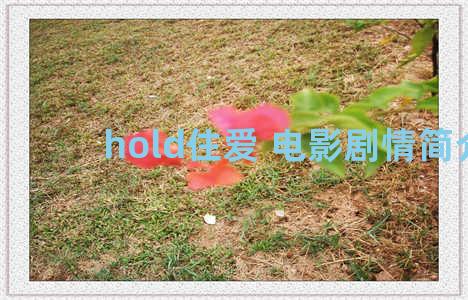 hold住爱 电影剧情简介